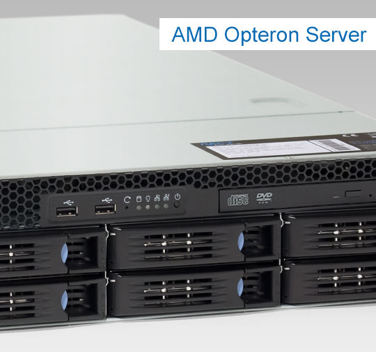 AMD Opteron Server