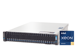 Server - Rack Server - 2U - RECT™ RS-8690R24 - Dual Intel Xeon Scalable of the 3rd Generation in 2U Rack Server