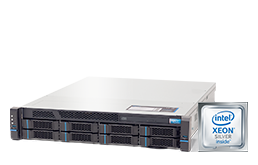 Storage - NAS - RECT™ ST-4687R8-N - 2HE Rack Einsteiger-Storage mit euroNAS HA-Cluster Software