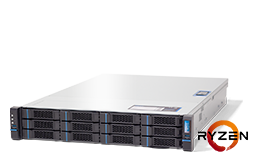 Virtualization - Microsoft - RECT™ RS-8625MR12 - 2U Rack Server with AMD Ryzen 3000 CPUs