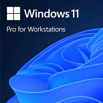 Microsoft Windows 11 Pro for Workstations Microsoft Windows 11 Pro for Workstations