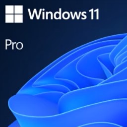 Microsoft Windows 11 Pro Microsoft Windows 11 Pro